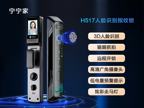 H517
